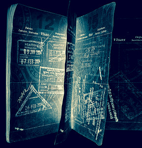 护照签证摘要图像背景图片