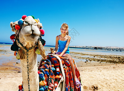埃及海滩上骑骆驼的旅游儿童骆背景图片