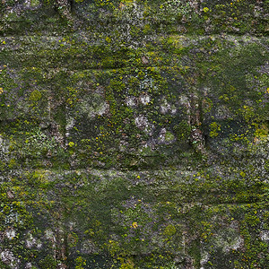 佩德拉无缝莫斯无缝旧绿墙原状绿色石板模化灰色纹背景
