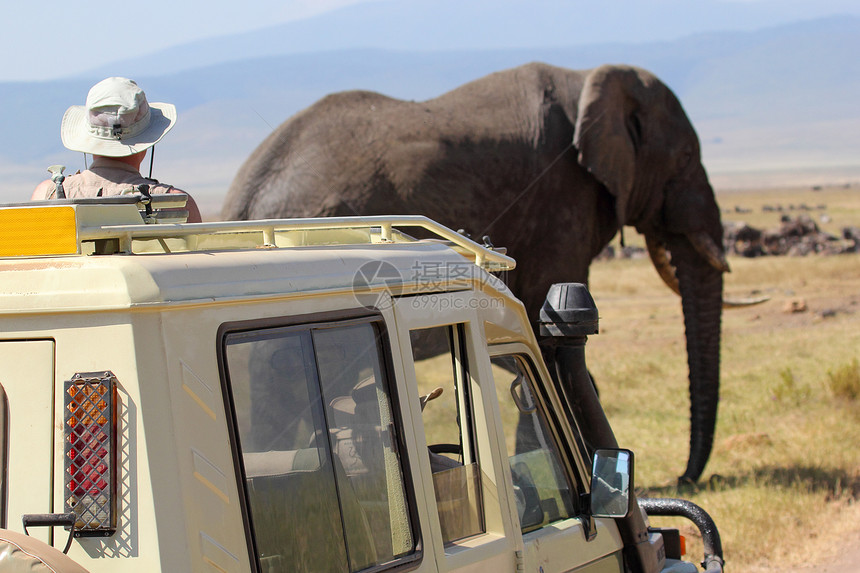 在坦桑尼亚Ngorongoro保护区图片