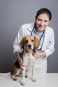 女动物卫生专业图片