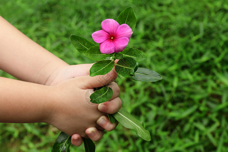 给花的孩子手图片