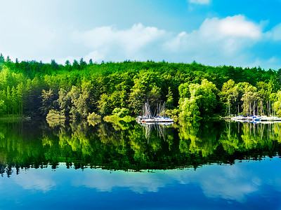 湖水中倒映的夏日森林景观图片