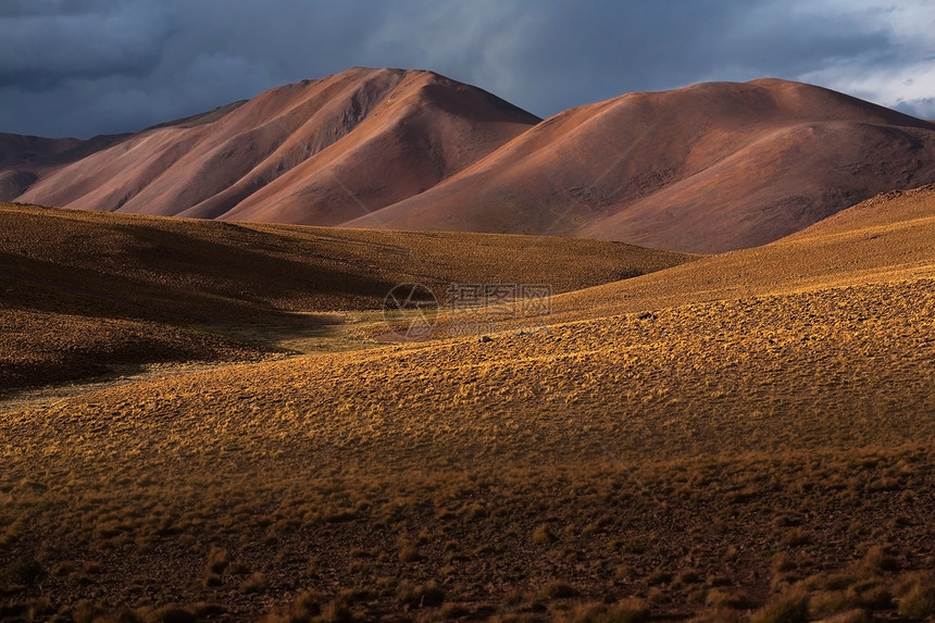 玻利维亚阿图片