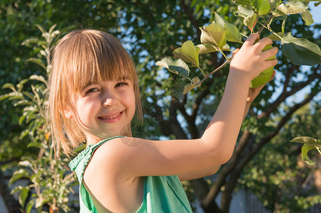 从树上摘苹果的幸福女孩图片
