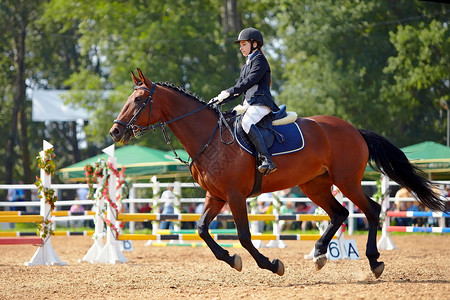 骑马的女运动员一匹红马上的女骑士马术骑马赛马图片