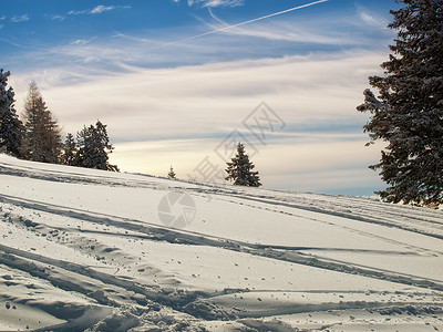 早晨的经典自然冬季景观图片