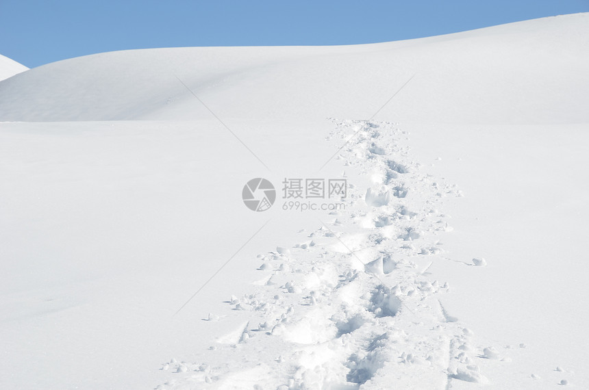 雪上脚步图片