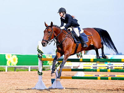 马术运动表演跳跃克服障碍骑马的女运动员一匹红马上的女骑士马术骑马赛马图片