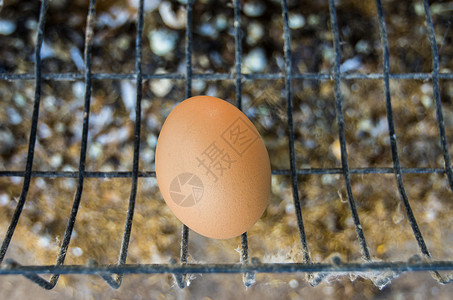鸡蛋一个篮子上的鸡蛋为图片