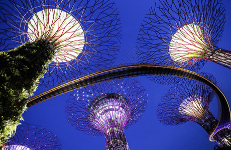 新加坡花园在黄昏图片