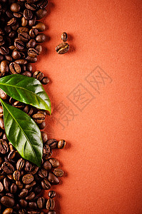咖啡豆和咖啡叶图片