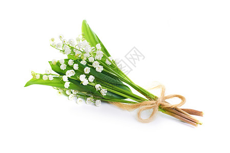 白色背景上孤立的铃兰的白色花束图片
