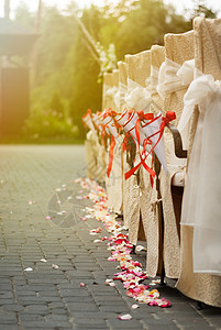 选框为婚礼装饰的一排椅子背景