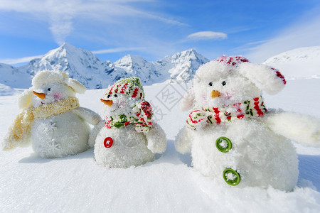 尼亚斯维兹冬天雪阳光和乐趣背景
