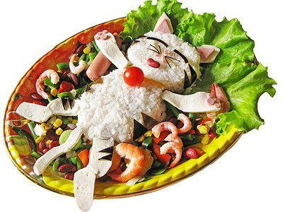 以大米和蔬菜猫为形式图片