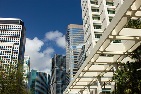 美国佛罗里达迈阿密商业大楼直图片