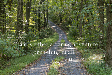 海伦·凯勒穿过森林的路径背景