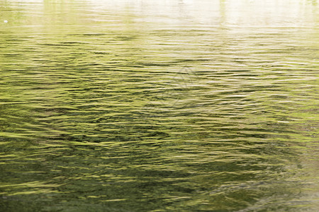 水背景阳光明媚的湖面图片