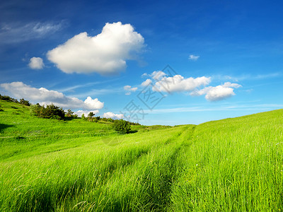 草地和阴云多的天空美图片