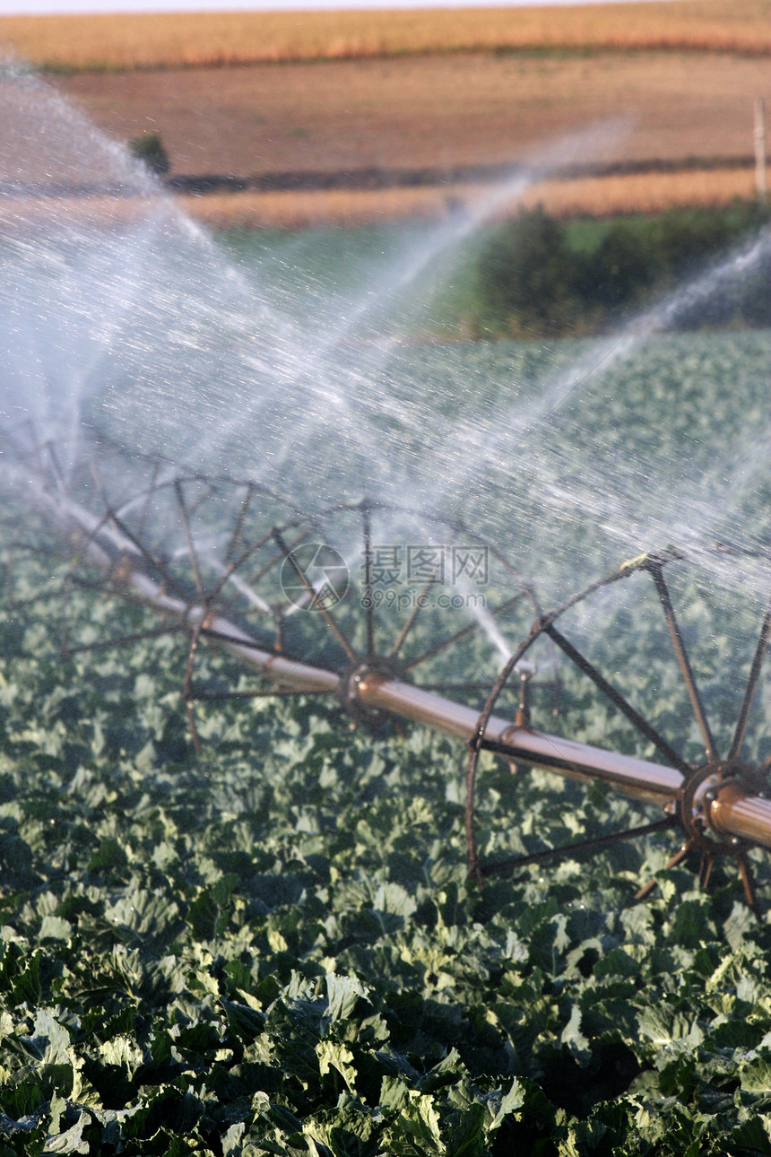 灌溉图片