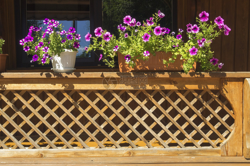 夏季风景花坛的木制阳台围栏碎片图片