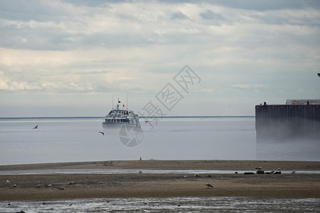 雾中的船背景图片