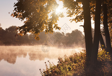 秋季湖图片