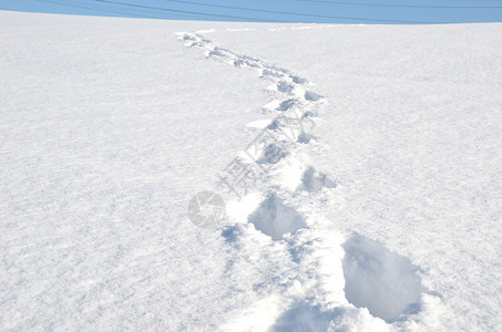 雪上脚步图片