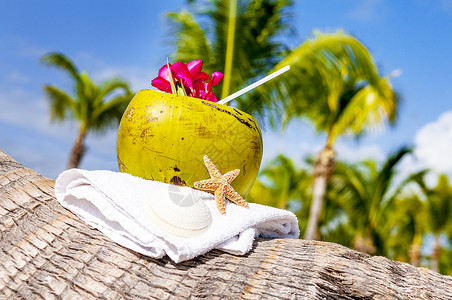 在海边的棕榈树上喝着吸管的椰子图片