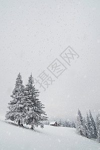 冬季景观与山和降雪的房子猎人乌克兰图片