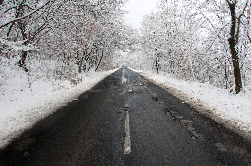 冬季公路图片