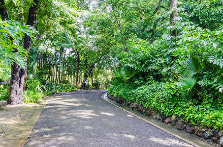 石九公花园公的石小路背景