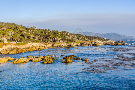 日落时在PointLobos的风景优美的海岸线图片