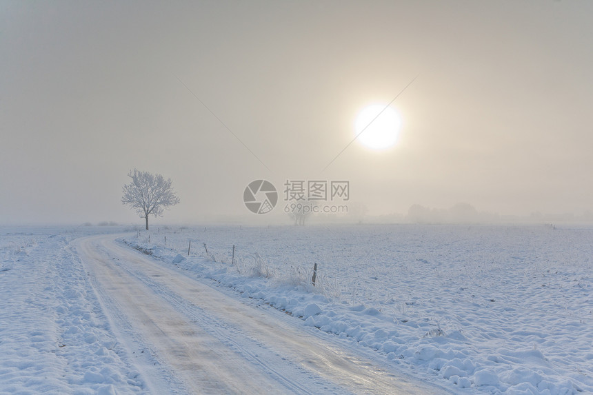 冬季风景树木下着由地面道路覆盖的图片