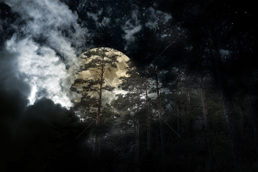 满月之夜古老的原始欧洲森林图片