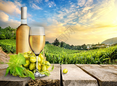 以葡萄园为背景的葡萄酒图片