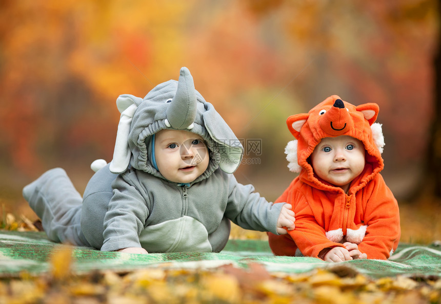 2个男孩婴儿在秋天公园穿着动物服装图片