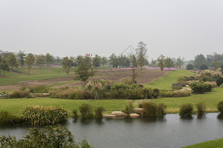 上海辰山植物园图片