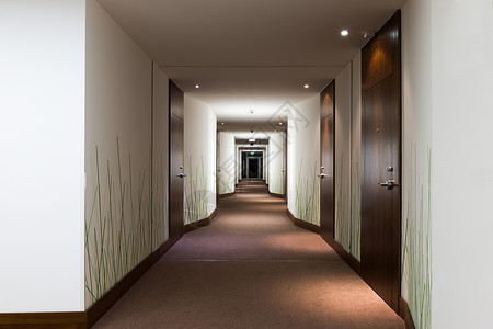 长的酒店走廊有门和绿草壁纸图片