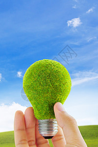 生态灯泡能量概念图片