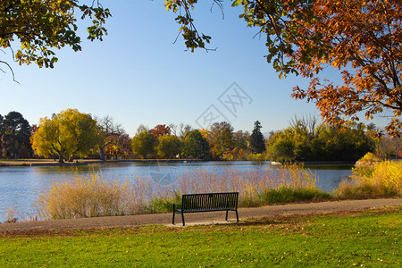 湖边空的长椅和树华盛顿公园科图片