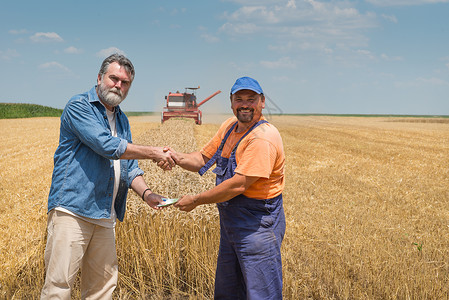 小麦收割后快乐的农夫图片