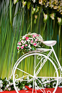 自行车与绿色背景上的花高清图片