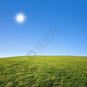 在阳光明媚的一天绿色草地与深图片