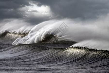 席卷葡萄牙海岸的大风暴波图片