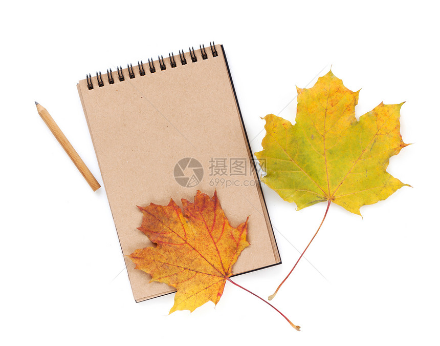 用铅笔和秋叶的棕色纸笔贴孤图片