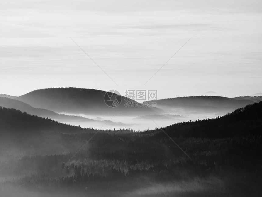 小山从清晨秋天有雾的背景增加第一缕阳光黑白照片山峰和树木从黄色和橙色图片