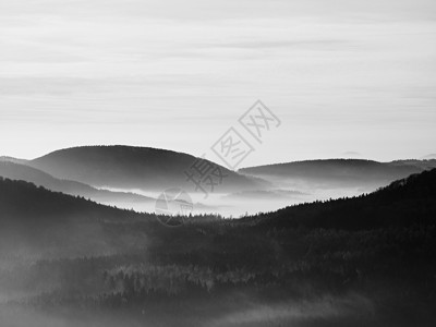 小山从清晨秋天有雾的背景增加第一缕阳光黑白照片山峰和树木从黄色和橙色图片