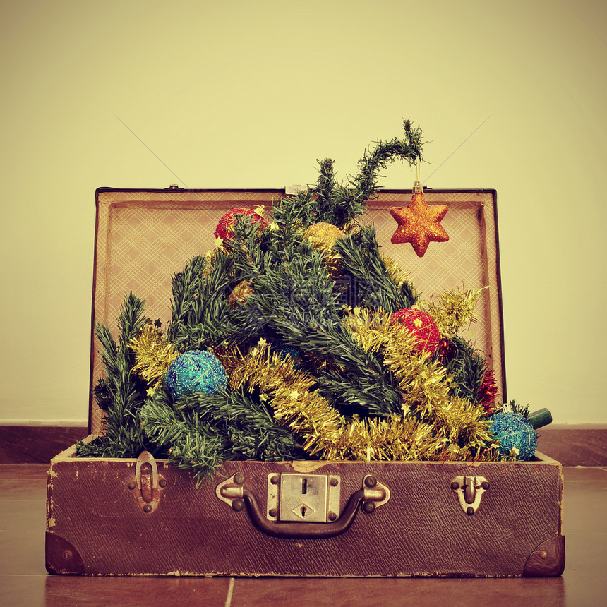 一棵圣诞树从一个旧箱子里出来的照片具有追溯图片